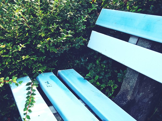 勇士队在这 勇士队在这