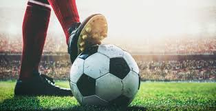 本文将深入 本文将深入