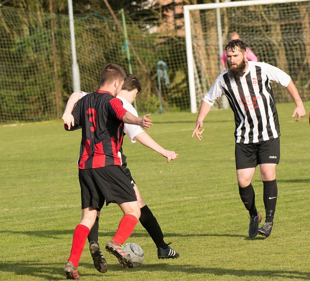 向能力闻名 向能力闻名