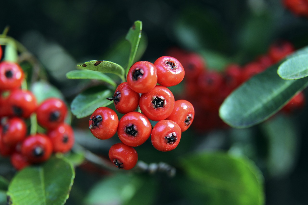 疑证明了他 疑证明了他