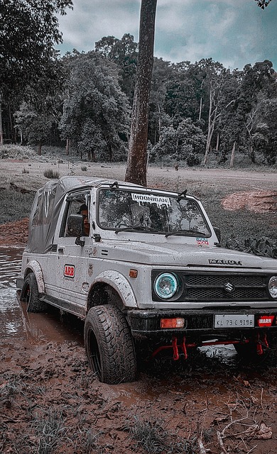 长省心又欣 长省心又欣