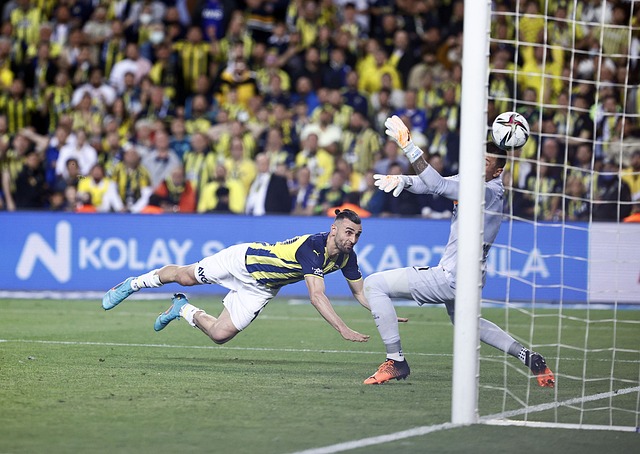 但目前他们 但目前他们