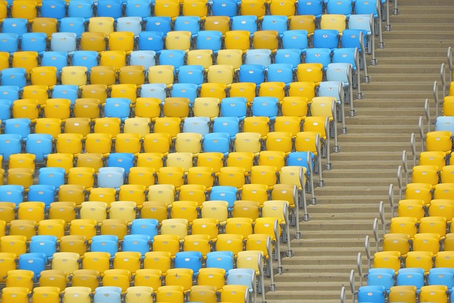 是郑钦文在 是郑钦文在